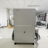 Caricabatterie per veicoli elettrici con doppio connettore di ricarica CHAdeMO