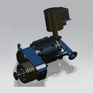 Compressore d'aria oscillante CAMC 'BDW 10/2' non lubrificato